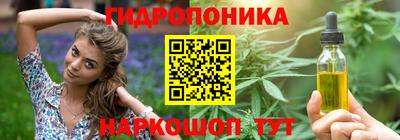 прущие крисы Бийск