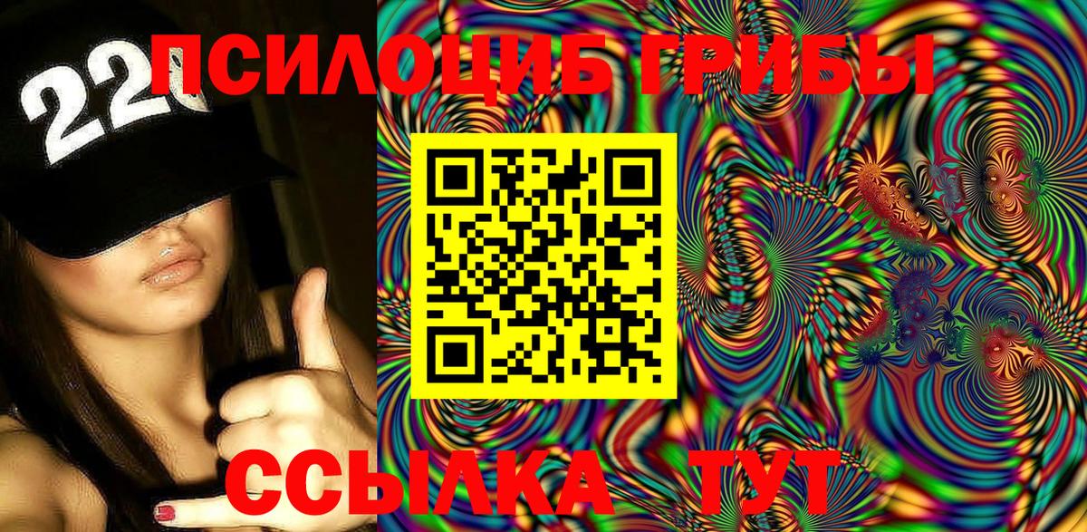 Псилоцибиновые грибы Cubensis Воскресенск